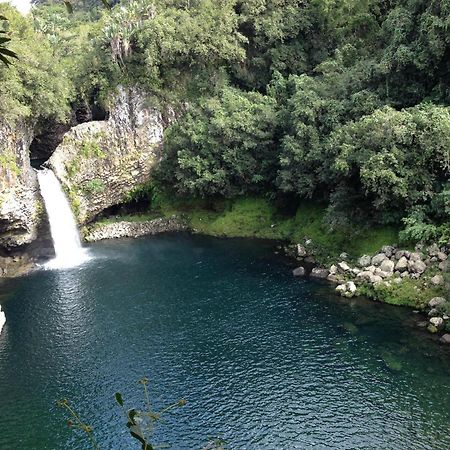Le Beau Vallon 1- Jacuzzi Privatif Et Piscine Chauffee Partagee Saint Benoit Bagian luar foto