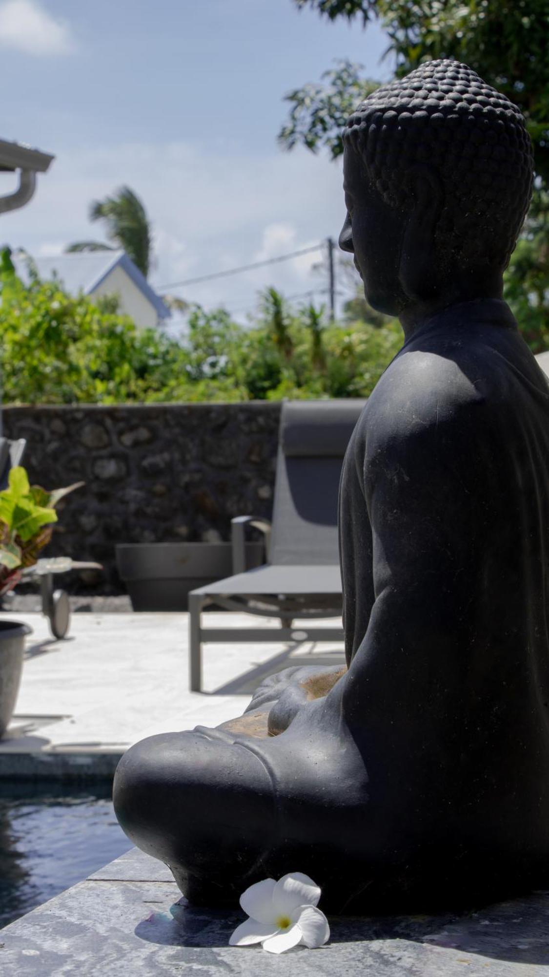 Le Beau Vallon 1- Jacuzzi Privatif Et Piscine Chauffee Partagee Saint Benoit Bagian luar foto